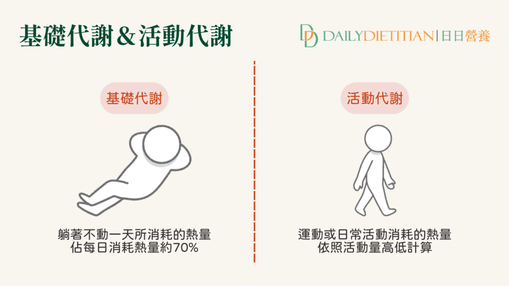 基礎代謝率基代