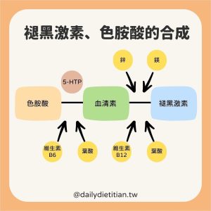褪黑激素、色胺酸的合成