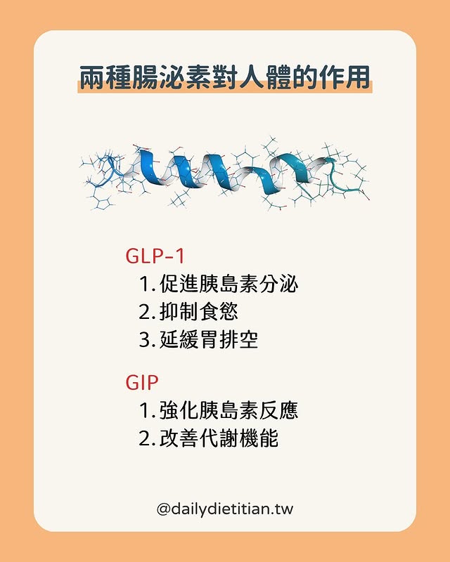 兩種腸泌素對人體作用