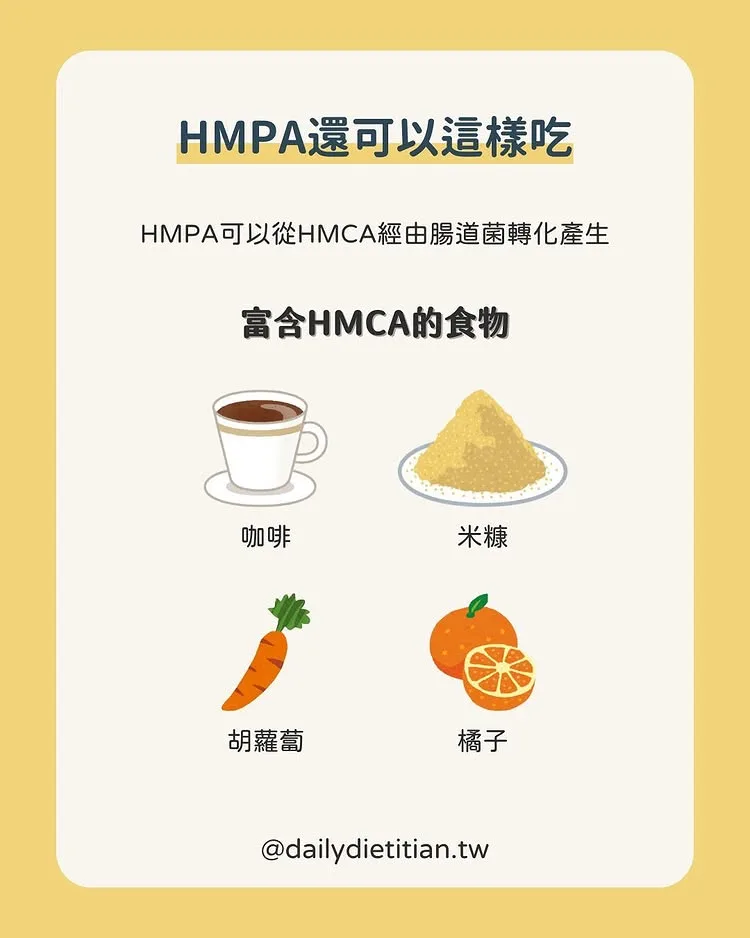富含HMCA的食物