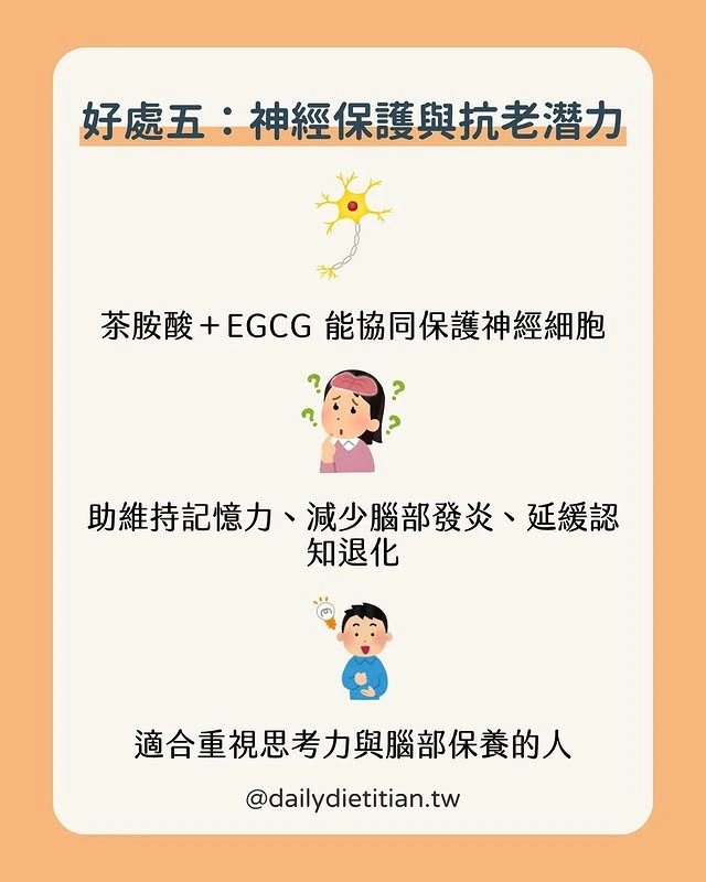 抹茶好處五：神經保護與抗老潛力